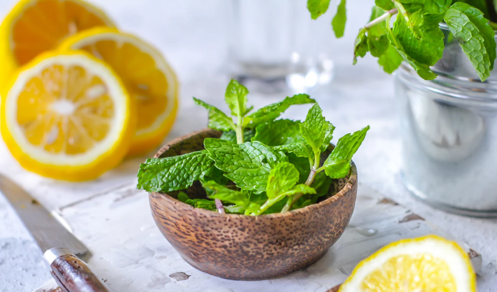 Lemon vs Peppermint Oil for Nausea
